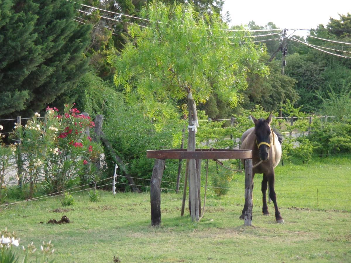 El Sendero - Gueiraldes B&B San Antonio de Areco Zewnętrze zdjęcie