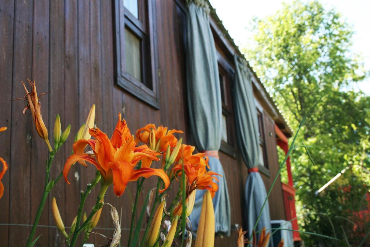El Sendero - Gueiraldes B&B San Antonio de Areco Zewnętrze zdjęcie